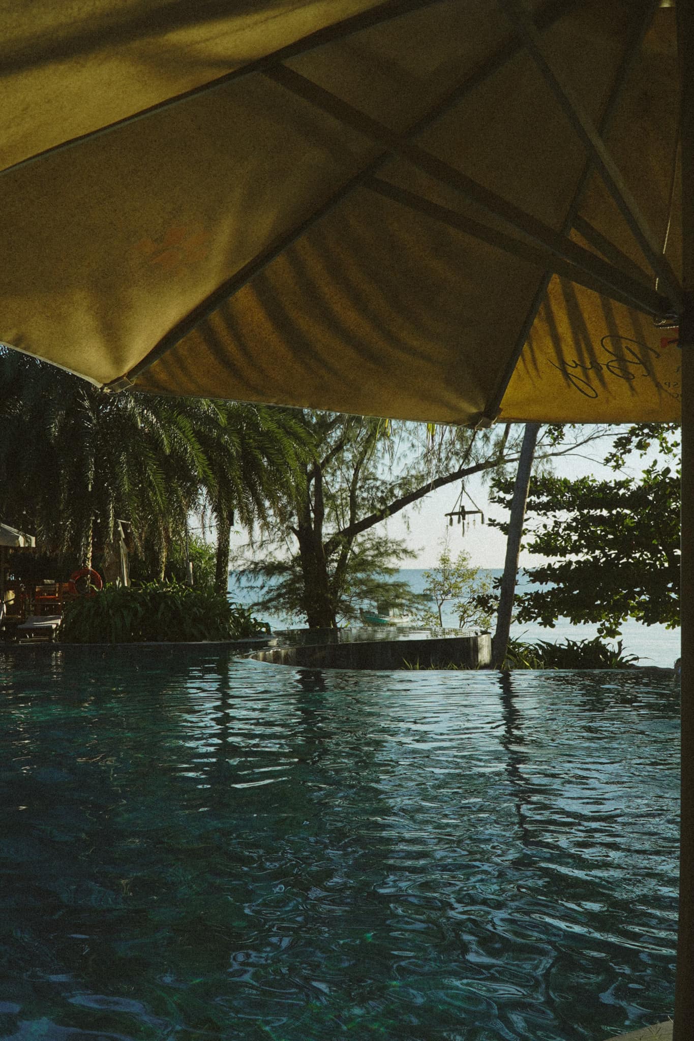 The edge of a pool beneath a canvas umbrella, trees beyond
