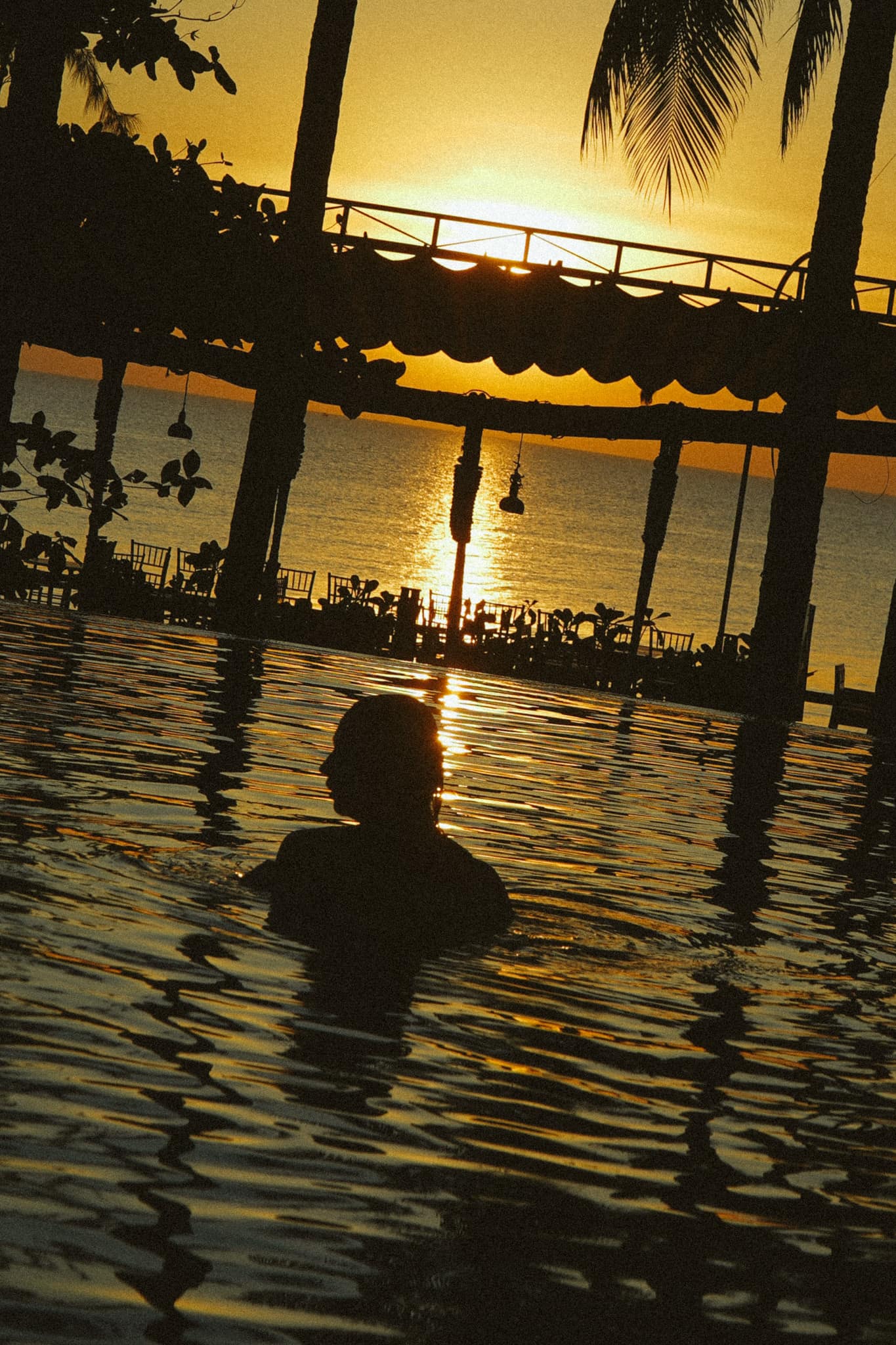 In the pool at sunset, palms and a jetty silhouetted against a gold sky