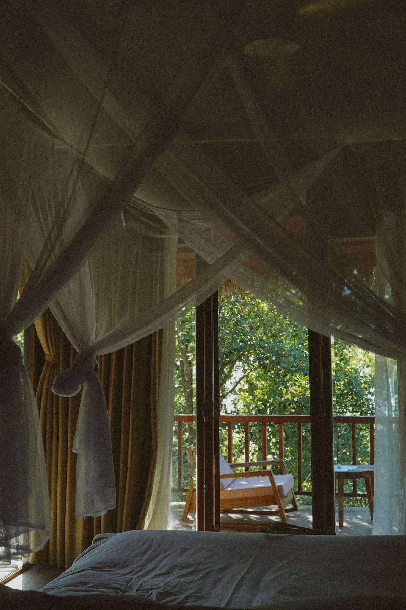 A bed under a mosquito net with the doors open to the trees