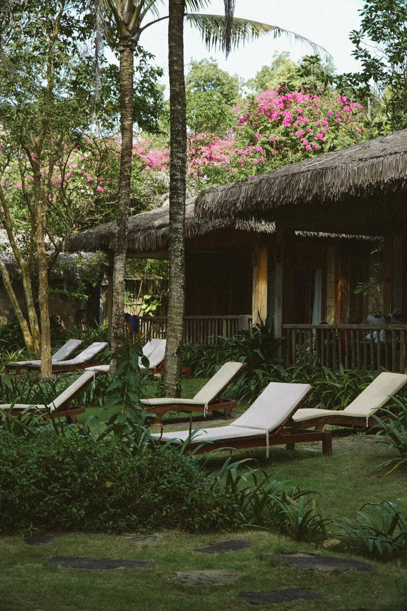 Sun loungers on the lawn beneath palms and a thatched roof, bougainvillea in flower