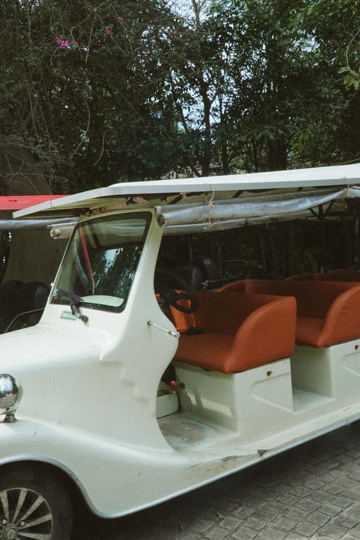 An open-sided white buggy parked under the palms