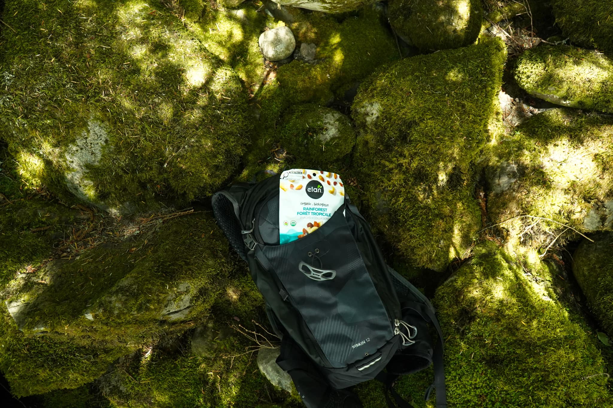 An Élan Rainforest pouch tucked into a daypack on sunlit mossy boulders