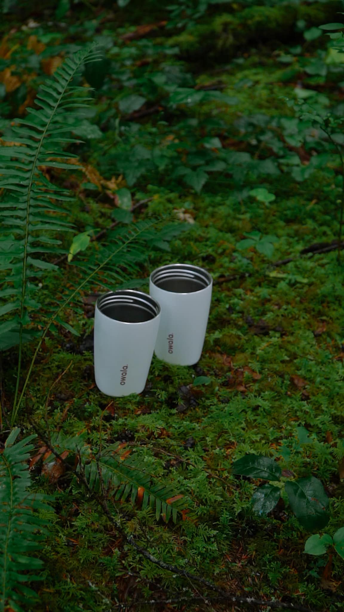 Owala cups on forest moss