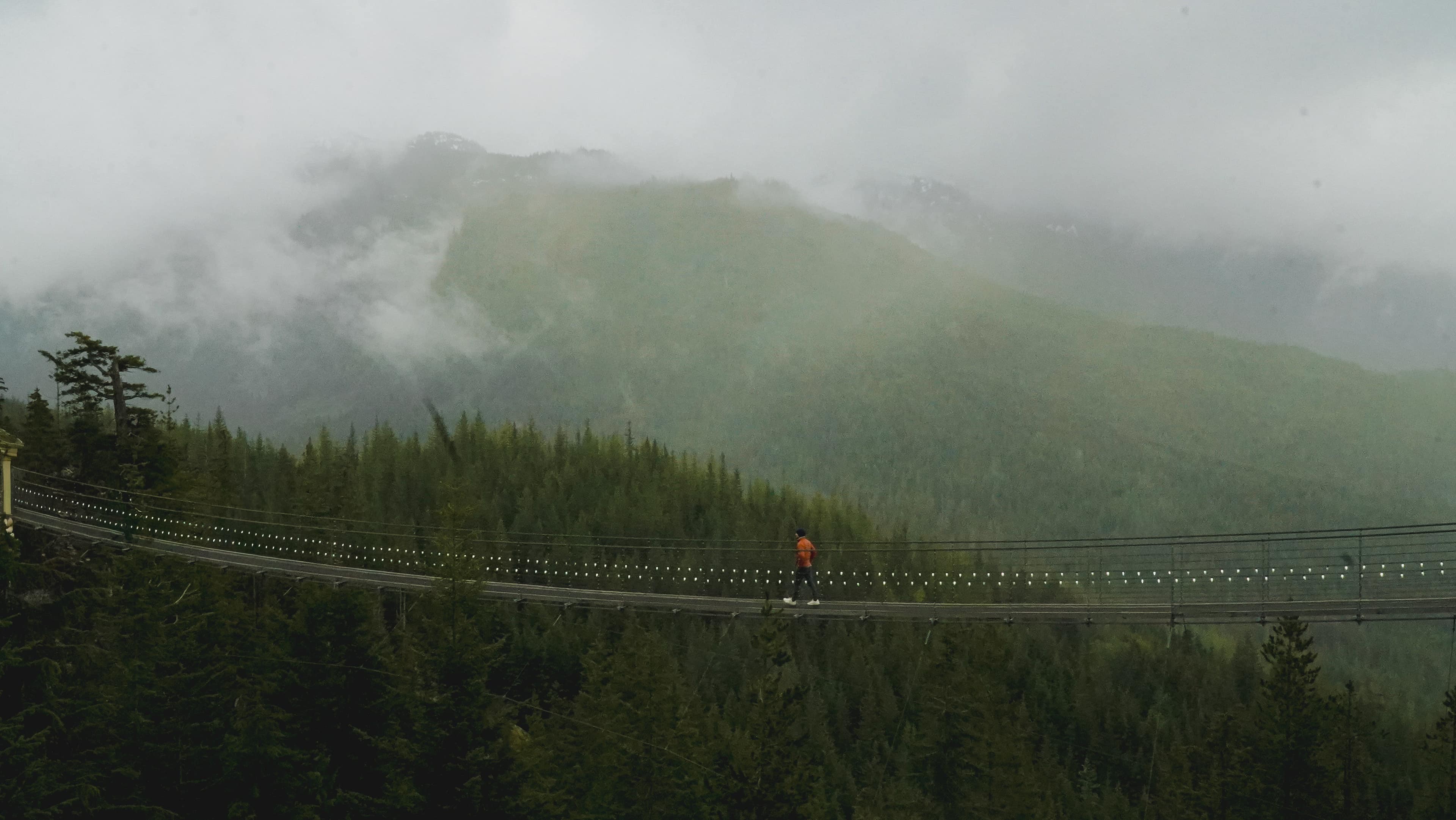 Walking a suspension bridge above the forest, cloud low on the mountains