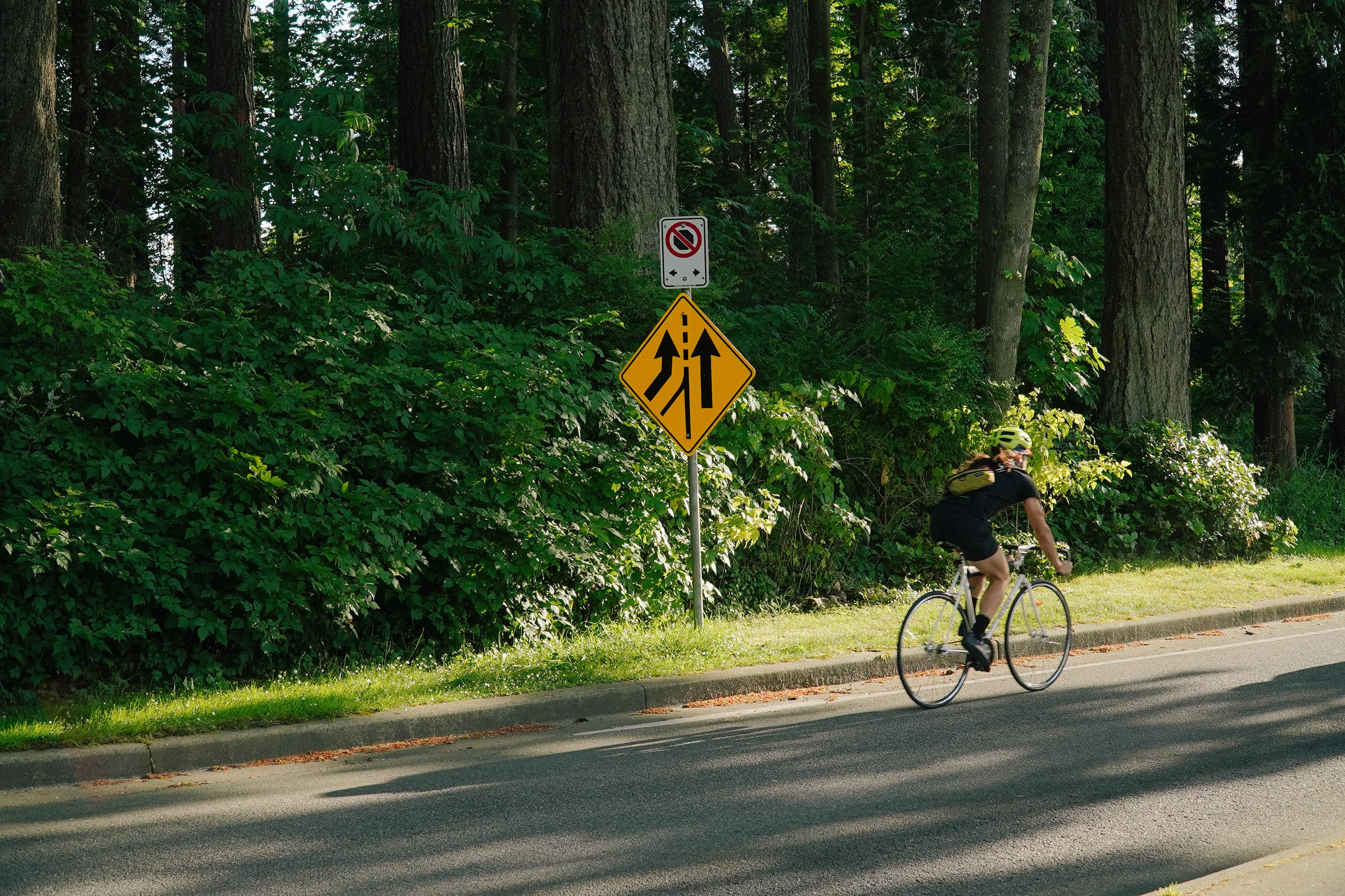 Cycling content — road ride through green