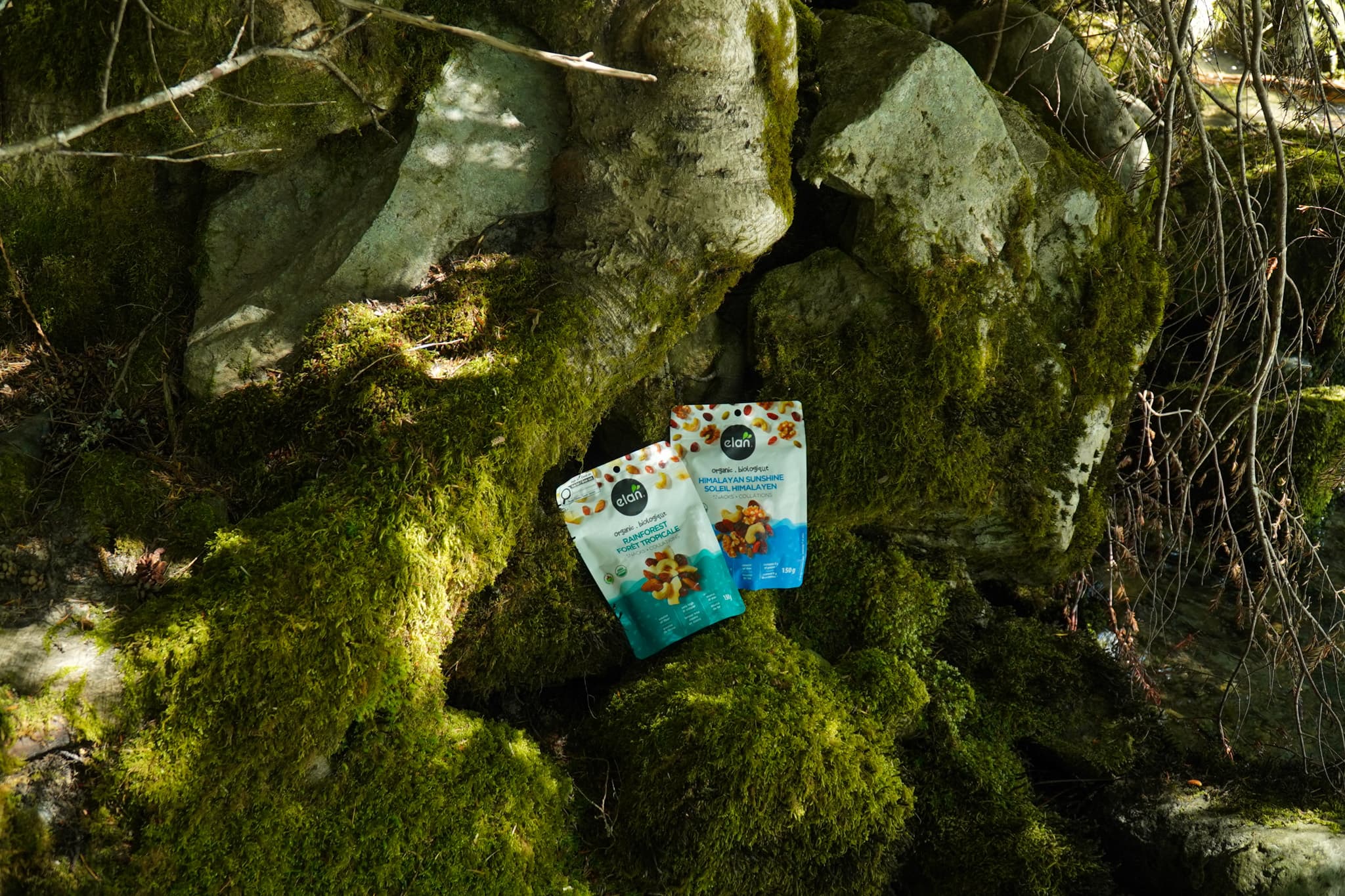 Backpack with an Élan superfood pouch resting on moss-covered river rocks